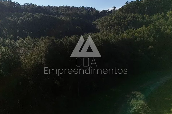 Fazenda para venda, Novo Horizonte