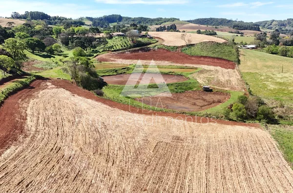 Chácara para venda,  Linha São Caetano, São Lourenço Do Oeste