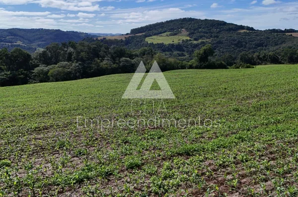 Área de terra para compra,  - Selecione - Bairro, Novo Horizonte