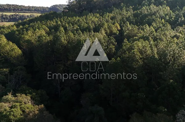 Fazenda para venda, Novo Horizonte