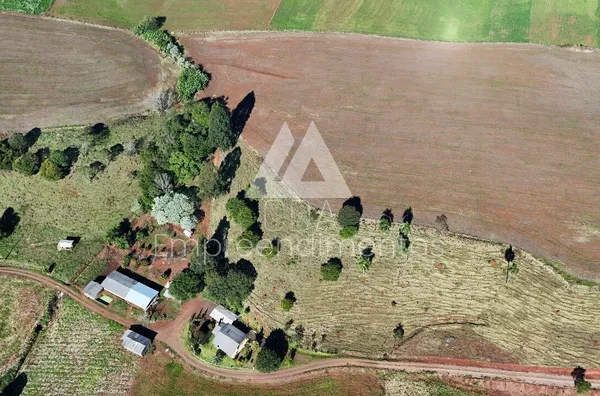 Chácara para venda, 3 quarto(s),  Frederico Wastner, São Lourenço Do Oeste - Foto 11