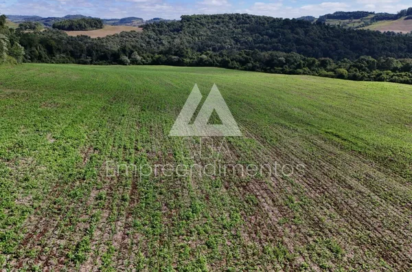 Área de terra para compra,  - Selecione - Bairro, Novo Horizonte