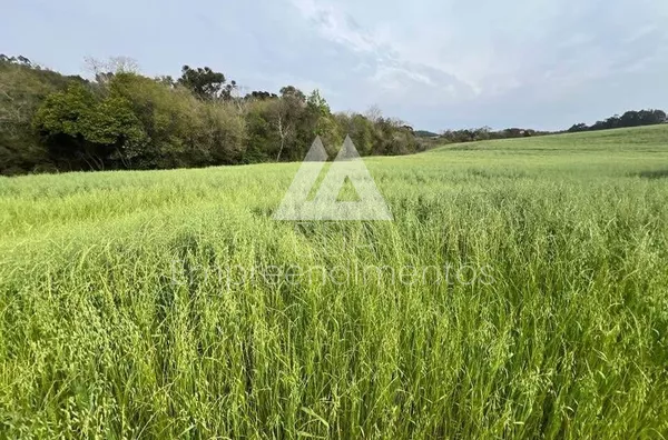 Área de terra para compra, 3 quarto(s),  - Selecione - Bairro, São Lourenço Do Oeste