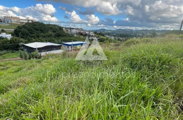 Terreno para venda,  Perpétuo Socorro, São Lourenço Do Oeste - Foto 5