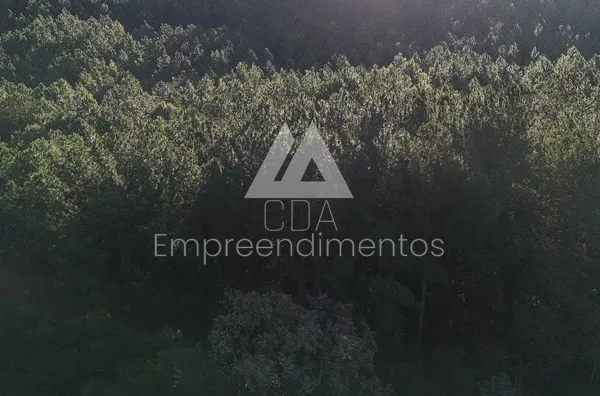 Fazenda para venda, Novo Horizonte