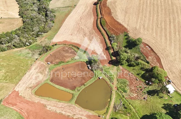 Chácara para venda,  Linha São Caetano, São Lourenço Do Oeste