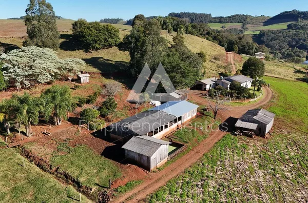 Chácara para venda, 3 quarto(s),  Frederico Wastner, São Lourenço Do Oeste - Foto 1
