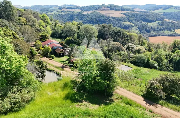 Propriedade Rural para Venda em Novo Horizonte