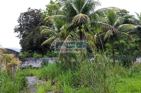 4 Lotes vendendo juntos ou separados 300m² cada em Pendotiba - Niterói - RJ