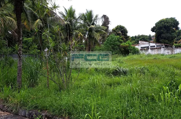 4 Lotes vendendo juntos ou separados 300m² cada em Pendotiba - Niterói - RJ