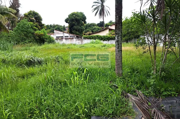 4 Lotes vendendo juntos ou separados 300m² cada em Pendotiba - Niterói - RJ