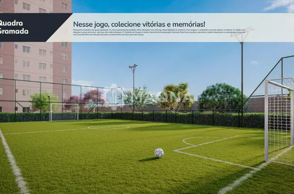 PERSPECTIVA - CAMPO