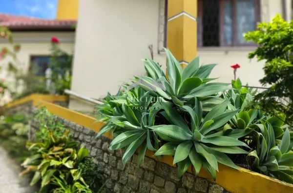 Uma Casa Para Viver e Sentir — Onde o Tempo Respeita Você - Foto 3