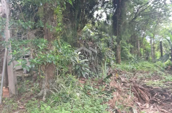 Terreno para venda,  Aririú, Palhoça - Foto 5