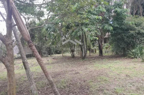 Terreno para venda,  Aririú, Palhoça - Foto 3