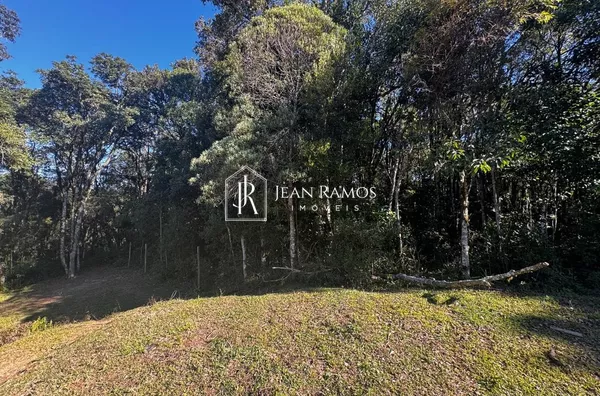 Terreno para venda,  Del Rey, São José Dos Pinhais - Foto 1