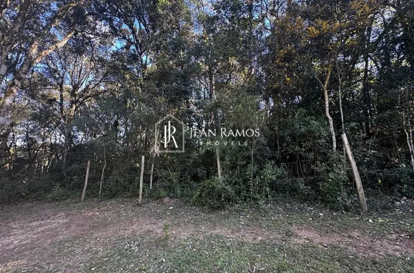 Terreno para venda,  Del Rey, São José Dos Pinhais - Foto 3