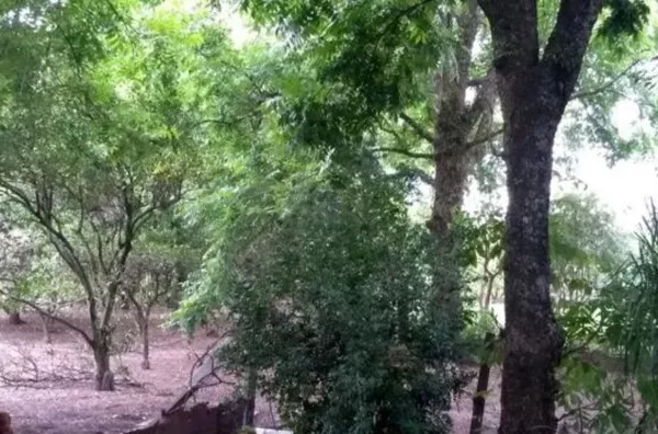Terreno com 5.573,65 à Venda no Centro de Santa Cruz do Sul/RS - Foto 6