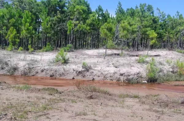 Terreno para venda,  Mostardas, Porto Alegre