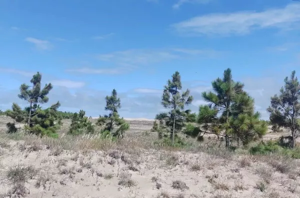 Terreno para venda,  Mostardas, Porto Alegre