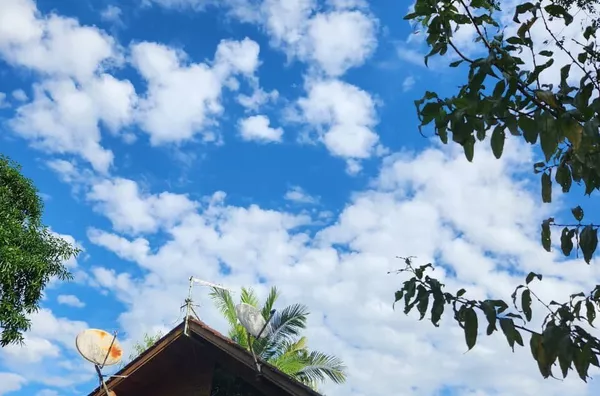 Sítio em São Mateus – Biguaçu/SC - Foto 9