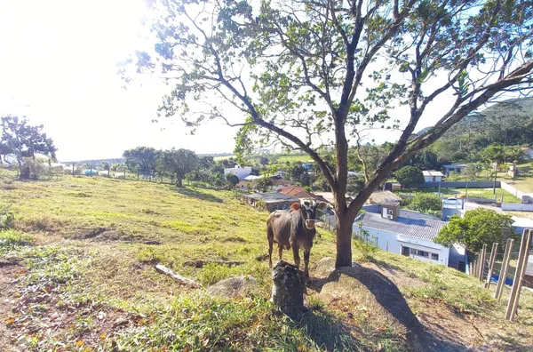 Casa Mobiliada com Terreno Amplo – 1.900m² no Bairro Dona Lucinda! - Foto 21