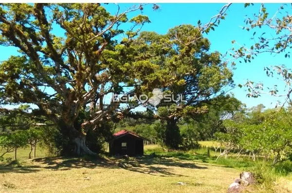 SÍTIO À VENDA NA ZONA SUL DE PORTO ALEGRE – BAIRRO LAGEADO - Foto 17