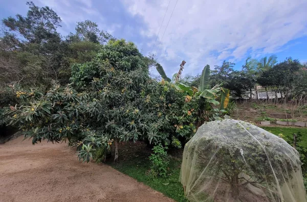 Chácara Mobiliada com 2.500m² em Areias de Baixo – R$ 1.250.000 - Foto 17