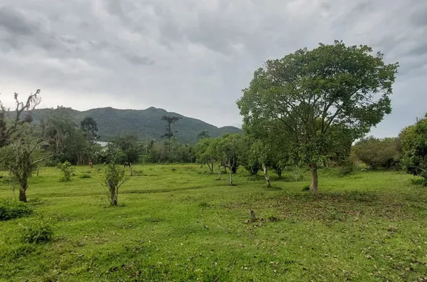 Sítio surpreendente em Governador Celso Ramos - Foto 18