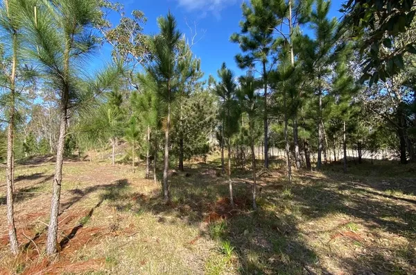 Terreno em Condomínio Eco Resort – 1.320m² – Santa Isabel, Viamão - Foto 1