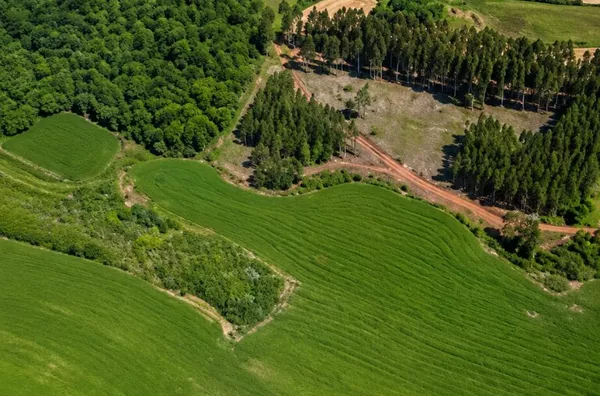 Fazenda para venda, Erval Velho