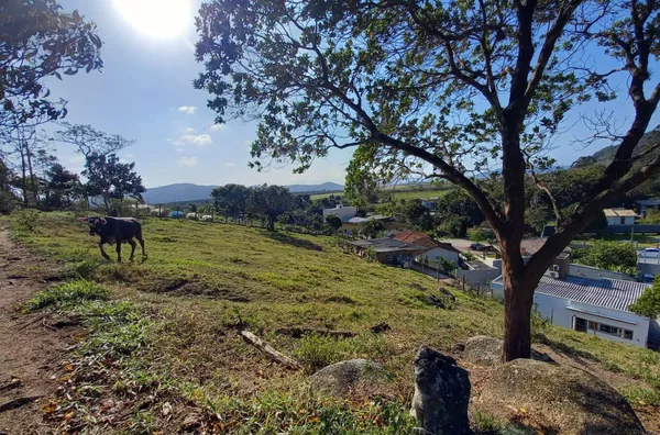 Casa Mobiliada com Terreno Amplo – 1.900m² no Bairro Dona Lucinda! - Foto 20