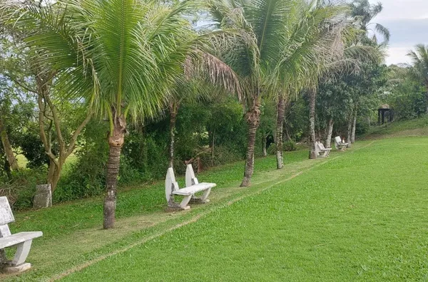 Sítio surpreendente em Governador Celso Ramos - Foto 8