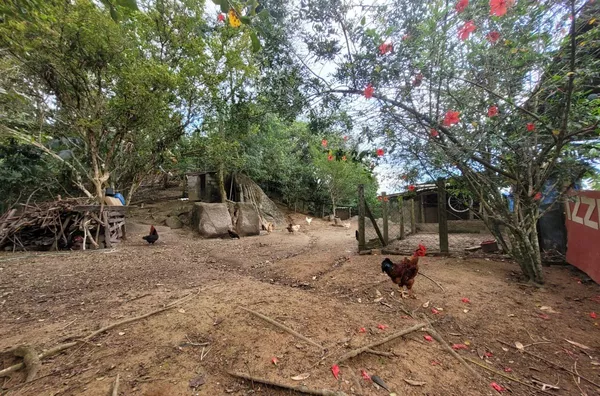Chácara Mobiliada com 2.500m² em Areias de Baixo – R$ 1.250.000 - Foto 24