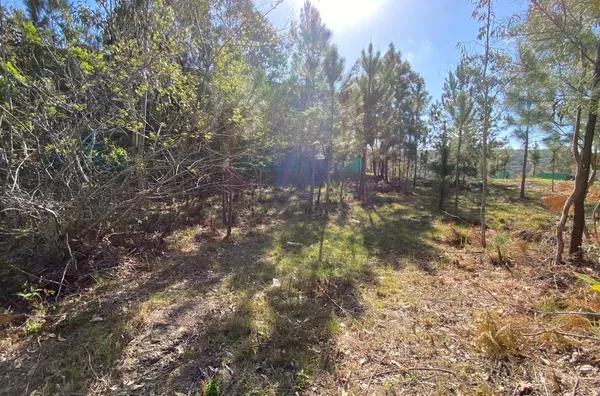 Terreno em Condomínio Eco Resort – 1.320m² – Santa Isabel, Viamão - Foto 9