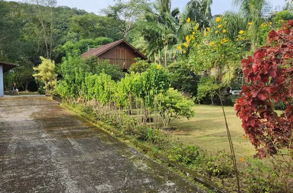 Sítio em São Mateus – Biguaçu/SC - Foto 15