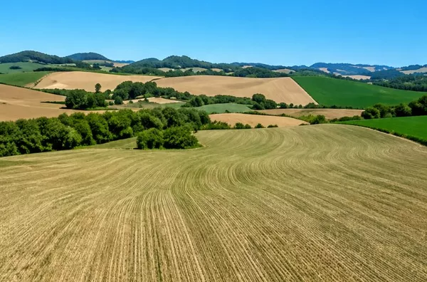 Fazenda para venda, Erval Velho