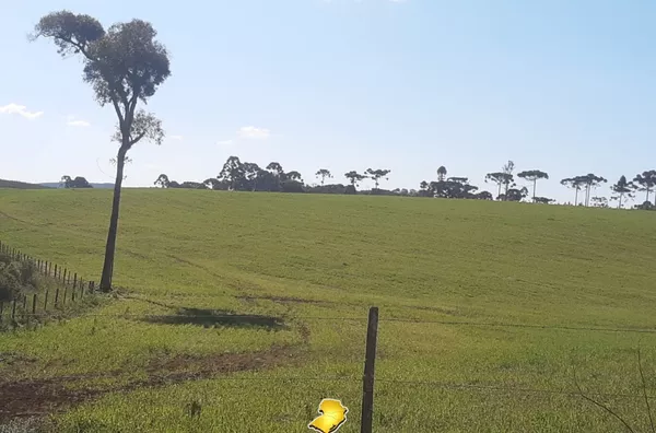 Fazenda para venda, Agua Doce, Santa Cataria 