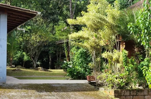 Sítio em São Mateus – Biguaçu/SC - Foto 13
