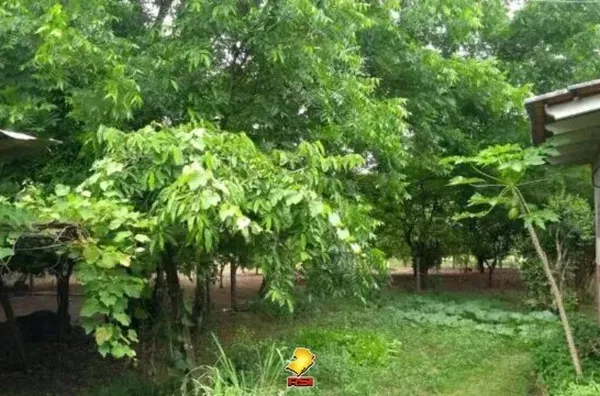 Terreno com 5.573,65 à Venda no Centro de Santa Cruz do Sul/RS