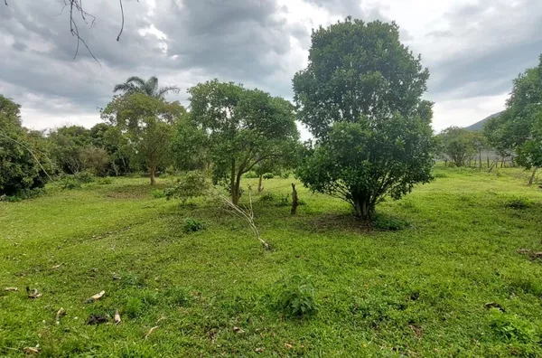 Sítio surpreendente em Governador Celso Ramos - Foto 17