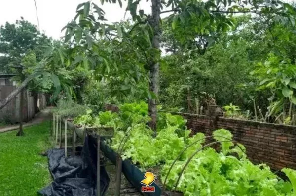 Terreno com 5.573,65 à Venda no Centro de Santa Cruz do Sul/RS