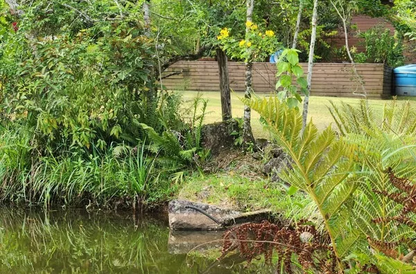 Sítio em São Mateus – Biguaçu/SC - Foto 18