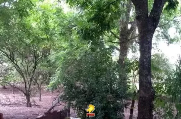 Terreno com 5.573,65 à Venda no Centro de Santa Cruz do Sul/RS