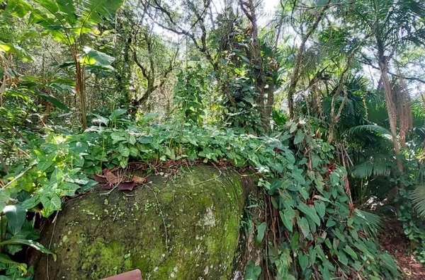 Casa para venda, 2 quartos,  Fazenda Da Armacao, Governador Celso Ramos - Foto 16