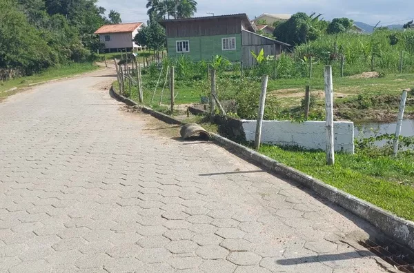Terreno para venda no bairro Jordão, 2.838m² - Governador Celso Ramos - Foto 9
