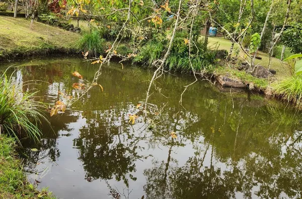 Sítio em São Mateus – Biguaçu/SC - Foto 16