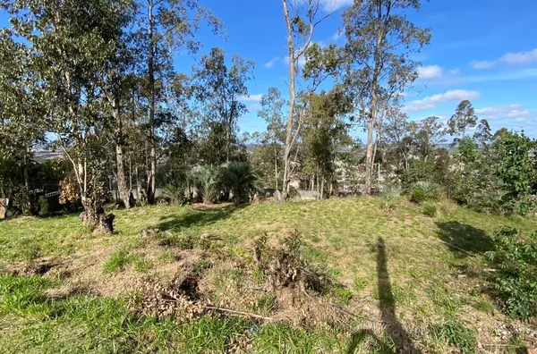 Terreno em Condomínio Eco Resort – 1.320m² – Santa Isabel, Viamão - Foto 4
