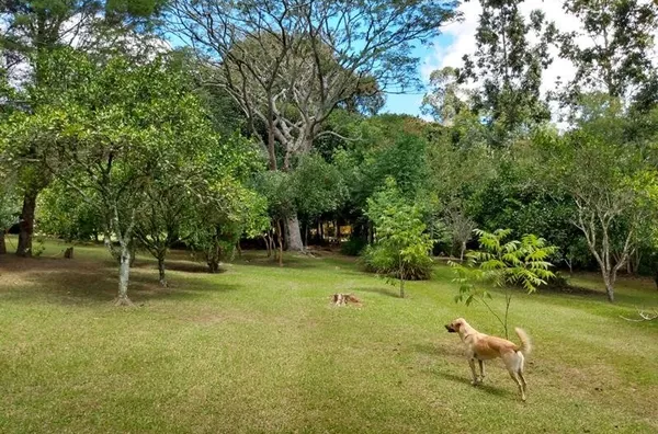 Sítio Mobiliado de 10.000m² no Bairro Espigão – Viamão | Porteira Fechada | Natureza e Conforto! - Foto 26