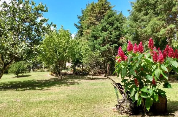 Sítio Mobiliado de 10.000m² no Bairro Espigão – Viamão | Porteira Fechada | Natureza e Conforto! - Foto 28
